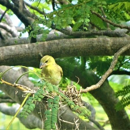 Watamu, Nestled Between Pristine Beaches And Lush Tropical Forest Hotel ภายนอก รูปภาพ