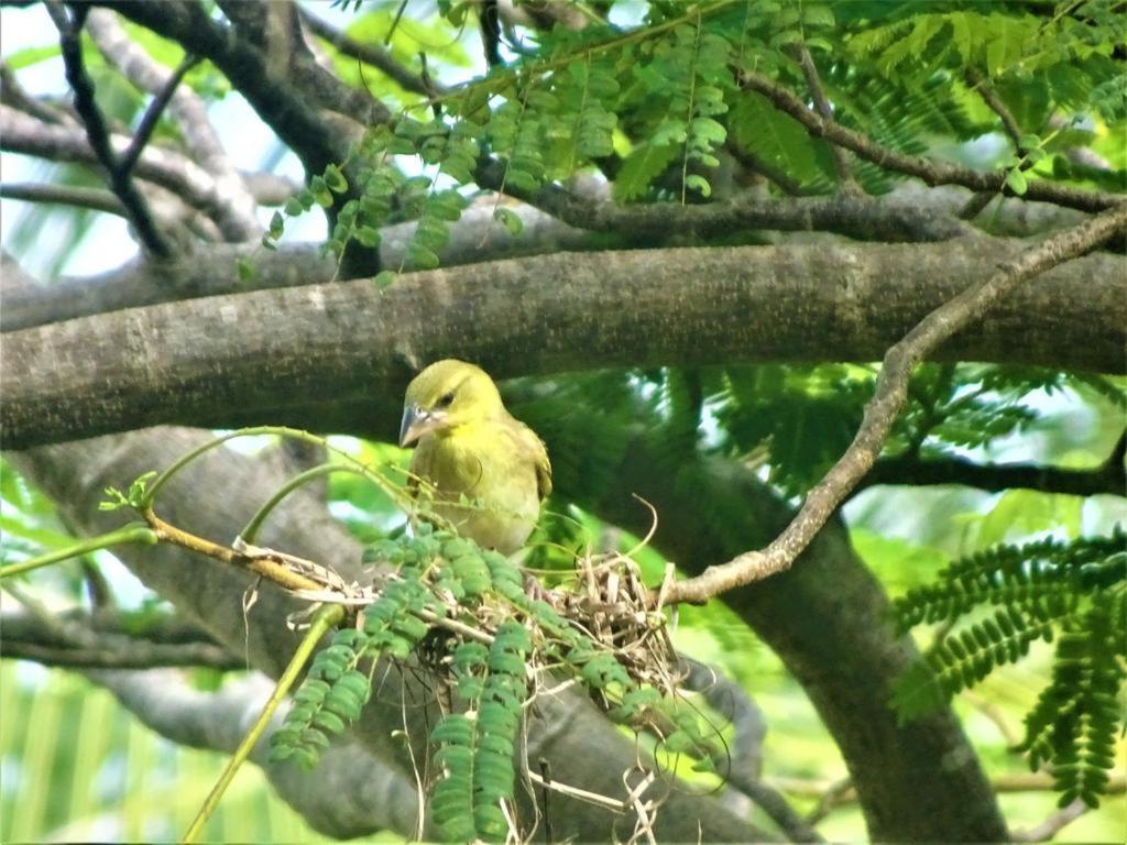 Watamu, Nestled Between Pristine Beaches And Lush Tropical Forest Hotel ภายนอก รูปภาพ